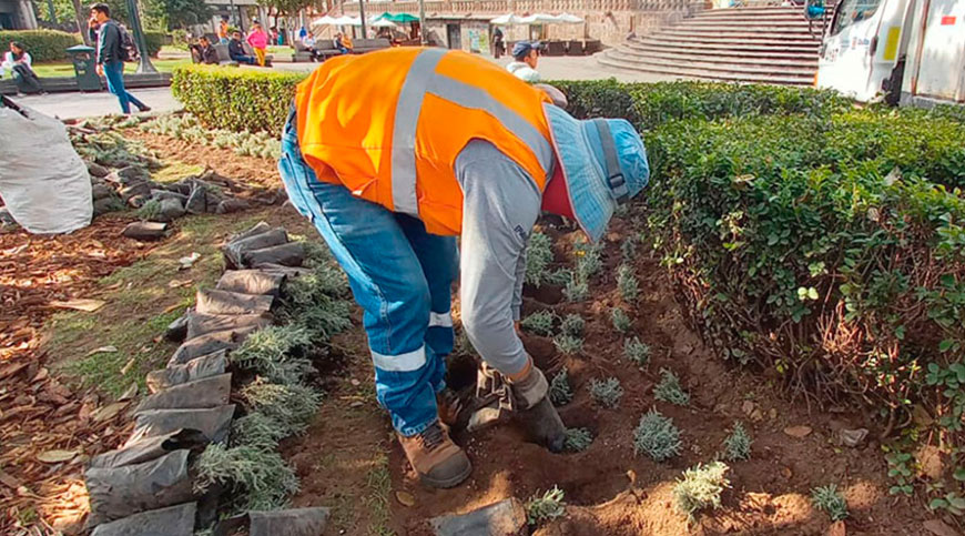 2024_03_25_PLANTAS_ORNAMENTALES_DMQ