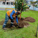 La municipalidad purifica el ambiente y embellece cada rincón de la ciudad