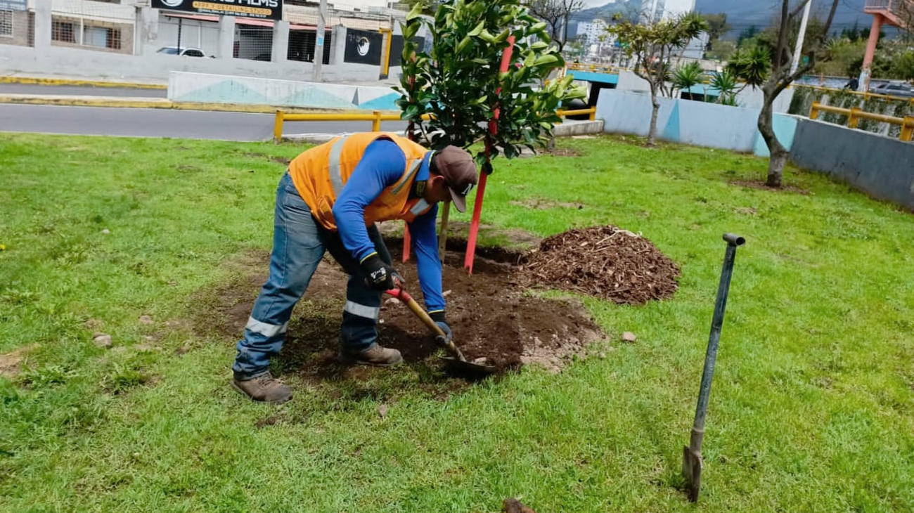 2024_05_10_ARBOLADO_QUITO