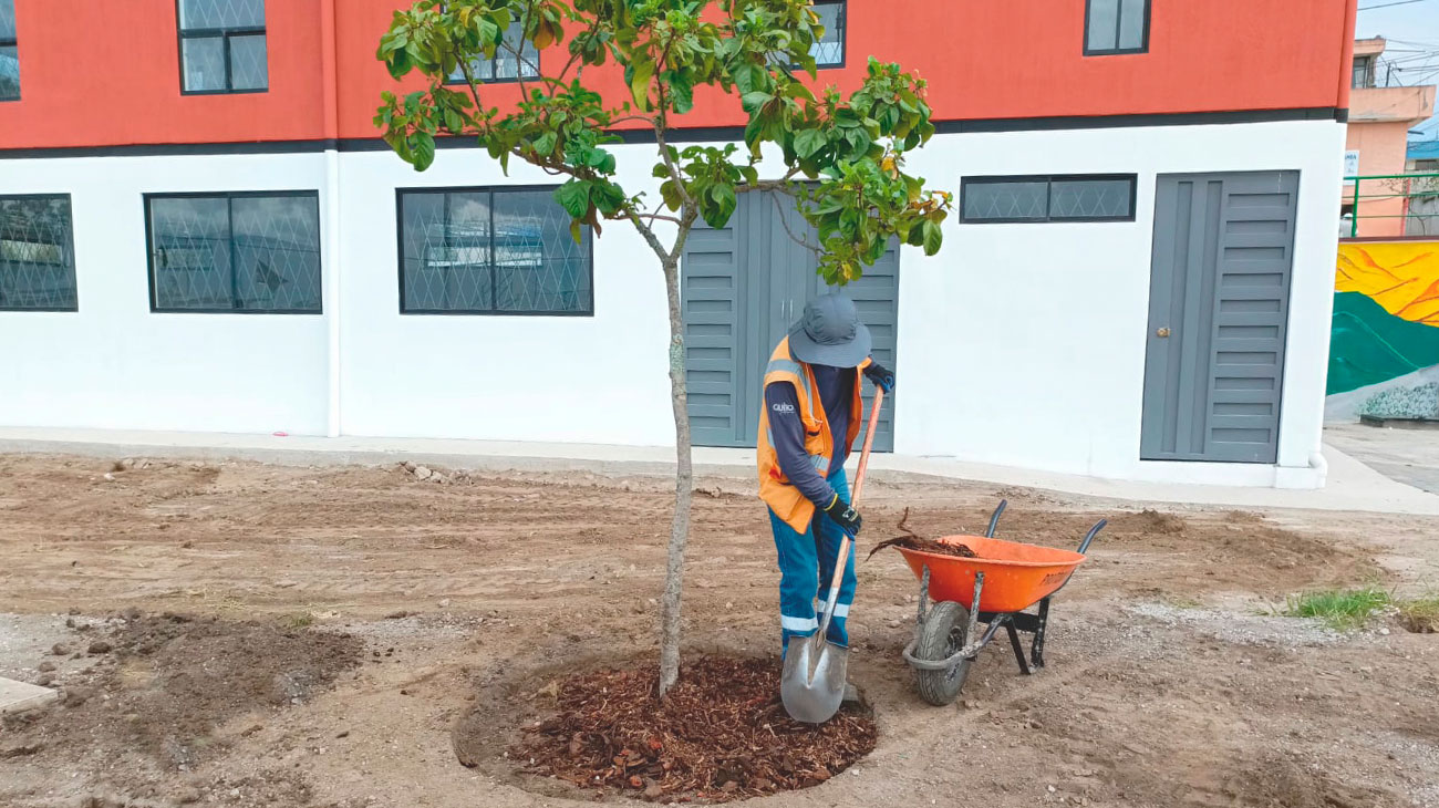 2024_06_13_MEJORAMIENTO_ESPACIOS_PUBLICOS_DMQ