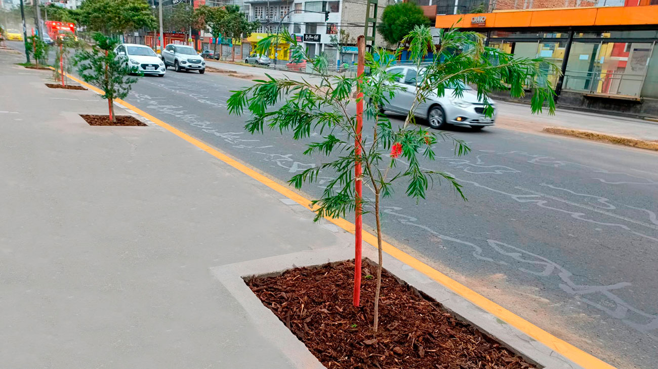 2024_07_04_MEJORAMIENTO_ACERAS_DMQ