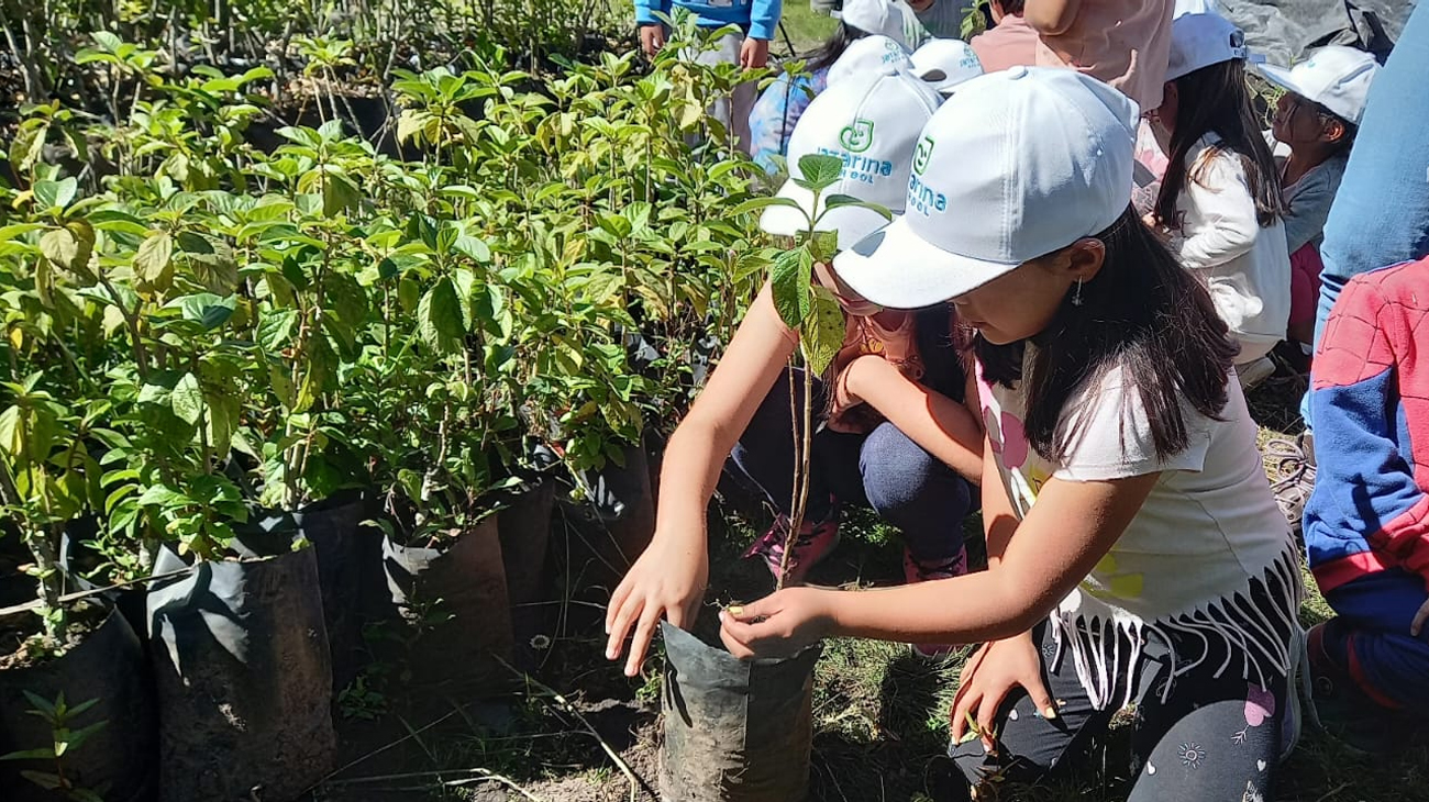 2024_07_08_VIVEROS_VERANO_QUITO