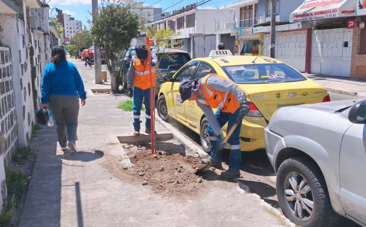 2024_07_23_RED_VERDE_URBANA_PARROQUIA_RUMIPAMBA