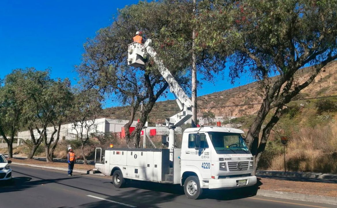 2024_07_26_PODA_TECNICA_AV_CORDOVA_GALARZA