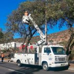 Epmmop realizó la poda técnica de 577 árboles ubicados sobre la avenida Manuel Córdova Galarza
