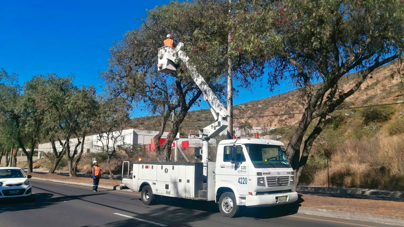 2024_07_26_PODA_TECNICA_AV_CORDOVA_GALARZA