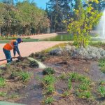 Áreas de calidad y zonas repotenciadas esperan por ti en el parque metropolitano Equinoccial