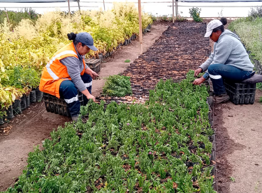 2024_09_18_VISITA_VIVEROS_DMQ