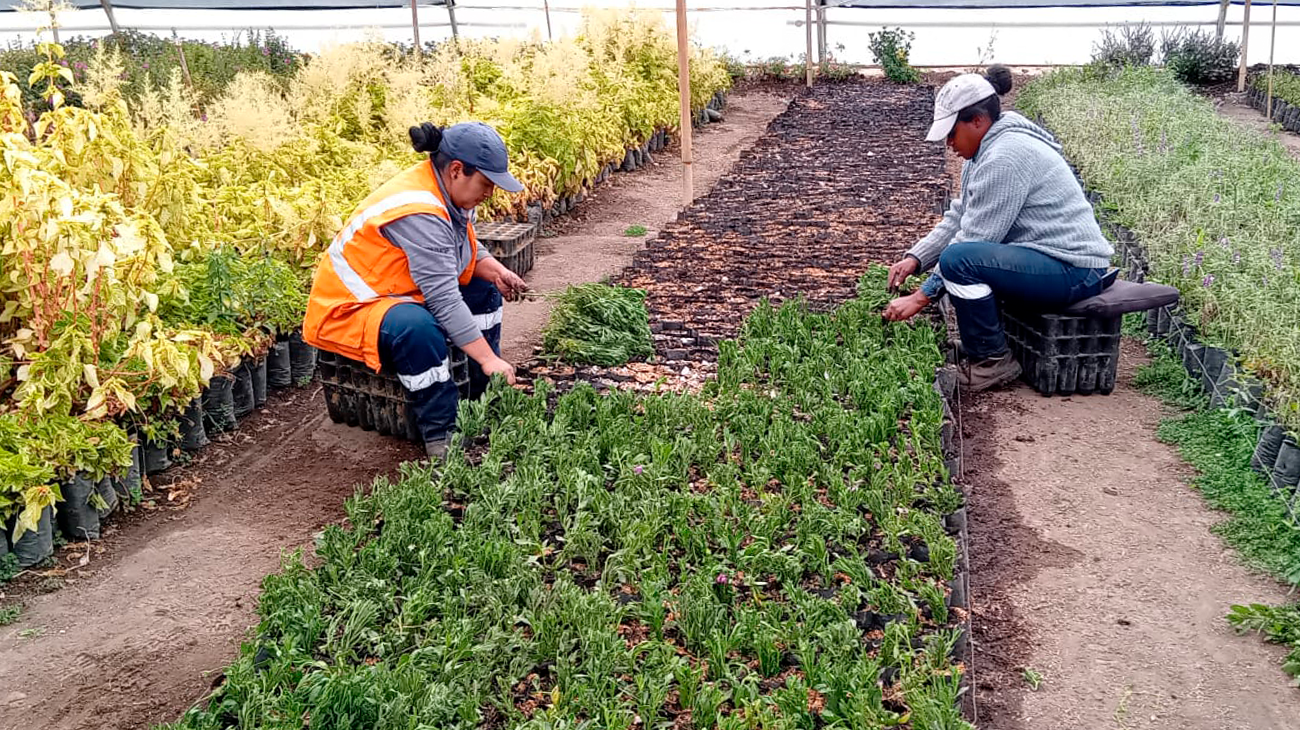 2024_09_18_VISITA_VIVEROS_DMQ