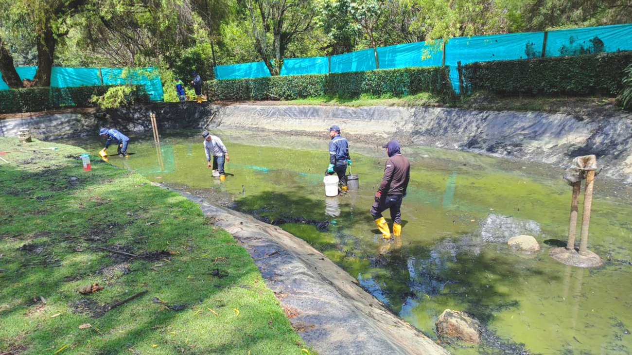 2024_10_02_LIMPIEZA_LAGUNA_LAS_CUADRAS