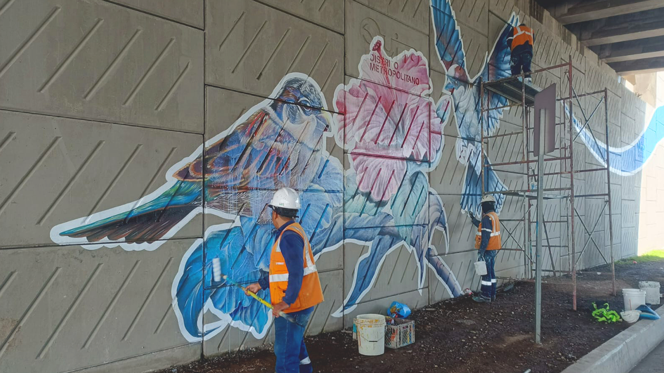 2024_11_05_ARTE_INTERCAMBIADORES_DMQ