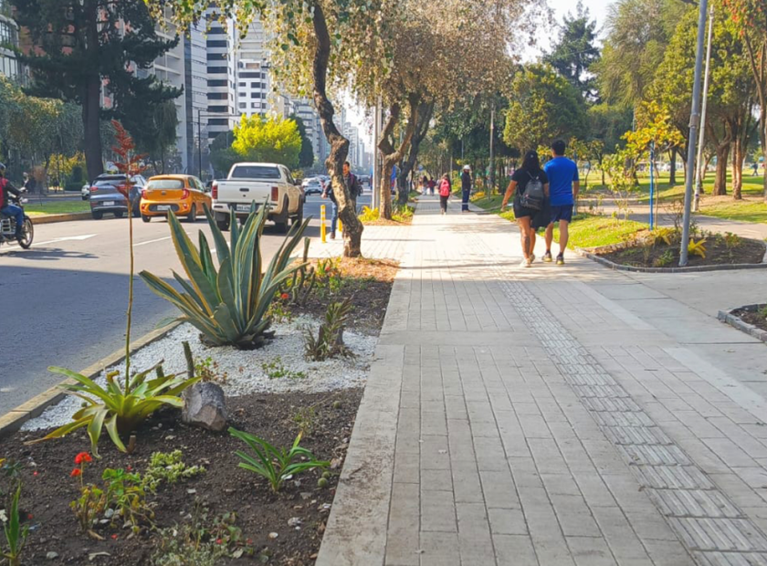 2024_11_20_BULEVAR_SHYRIS