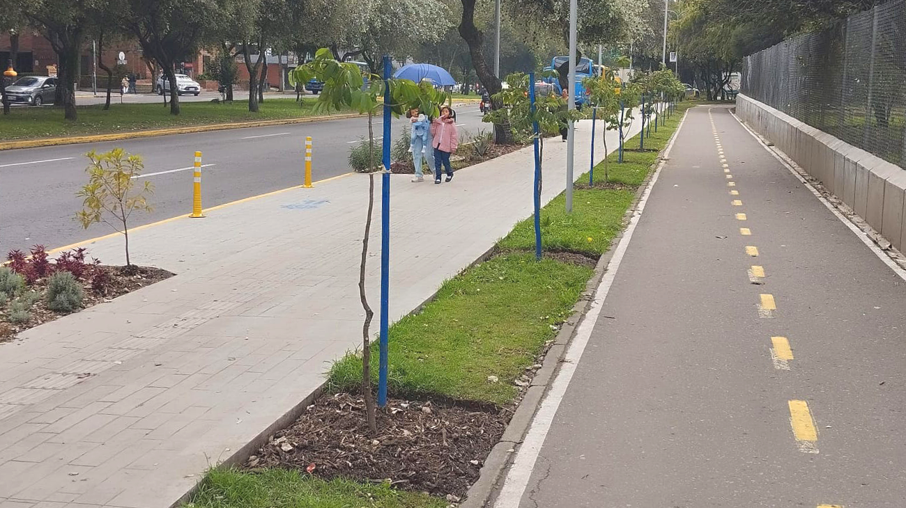 2025_03_07_BULEVAR_DE_LOS_SHYRIS