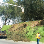 Municipio de Quito activo 24/7 para atender emergencias. En lo que va del año, más de 800 eventos de arbolado urbano fueron atendidos