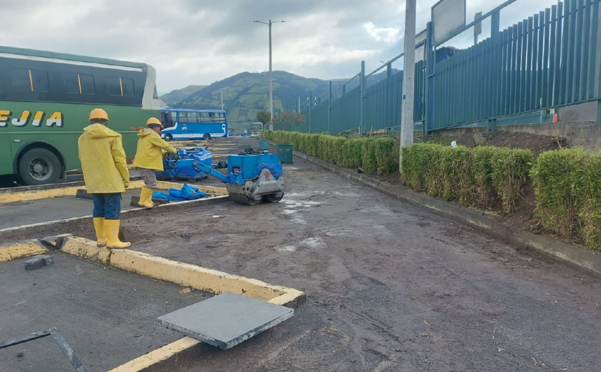 2025_06_10_TERMINALES