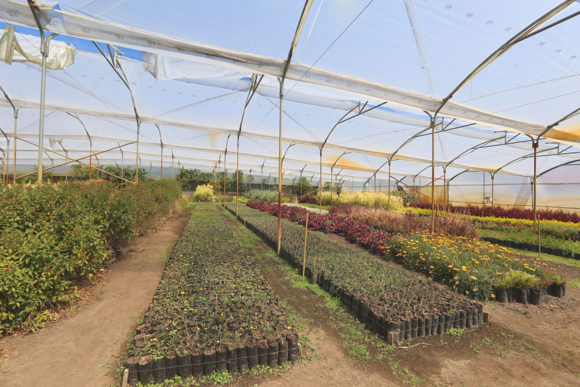 VIVEROS_MUNICIPALES_DMQ